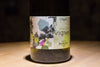 Chignin  Vieilles Vignes - Carton de 12 bouteilles (-10%)